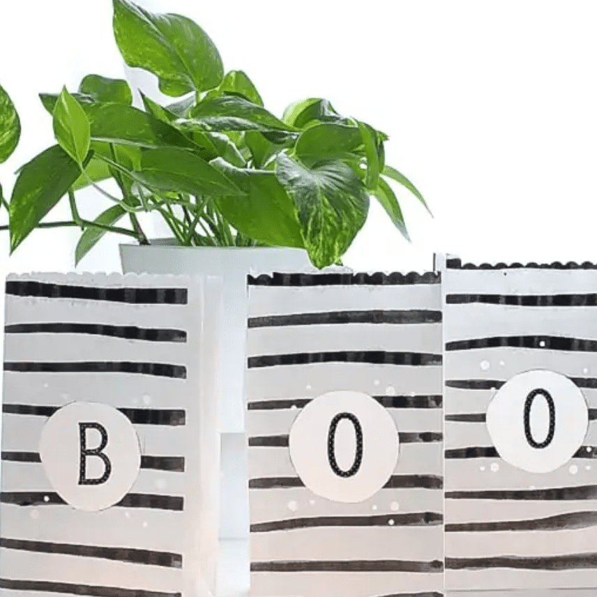 纸袋里装着蜡烛