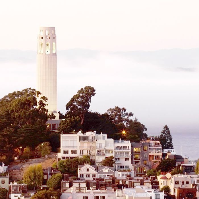 在电报山附近，可以看到旧金山的科伊特塔。