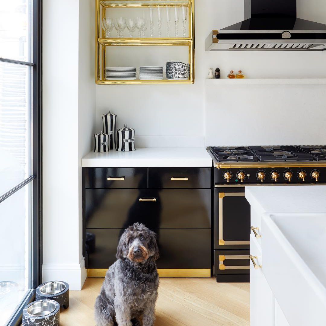 黑色和金色的厨房
