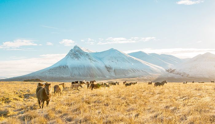 寒假在欧洲 - 冰岛“class=