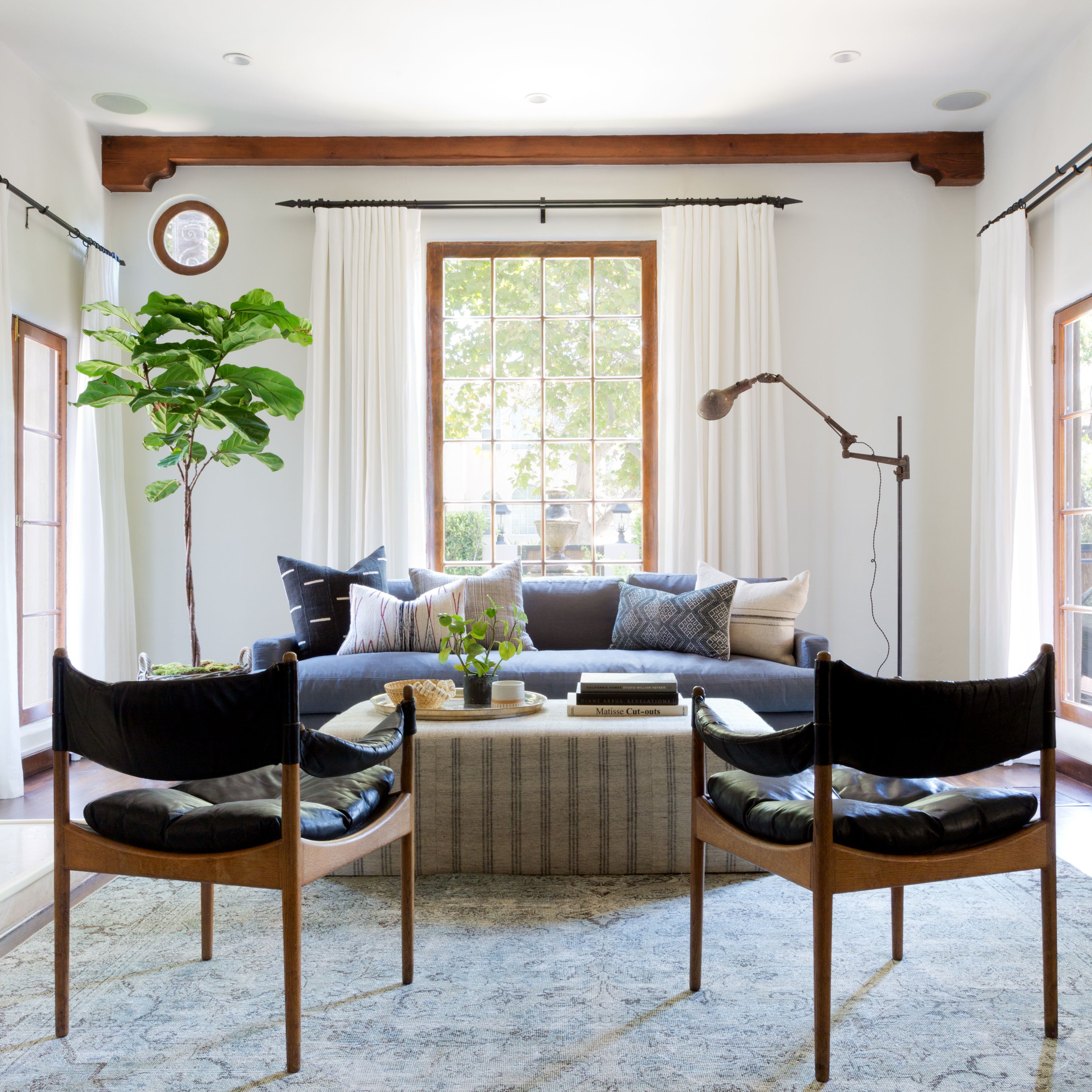 灰色的凯蒂·霍奇斯莫斯水鸭去什么颜色