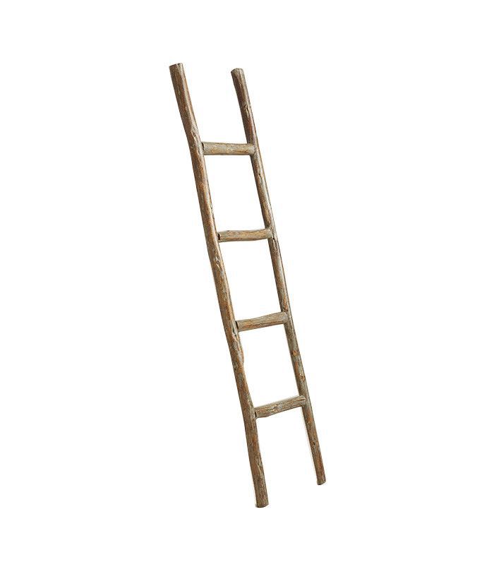 世界市场装饰桉树梯