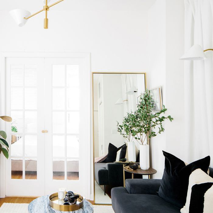 带法式门的客厅