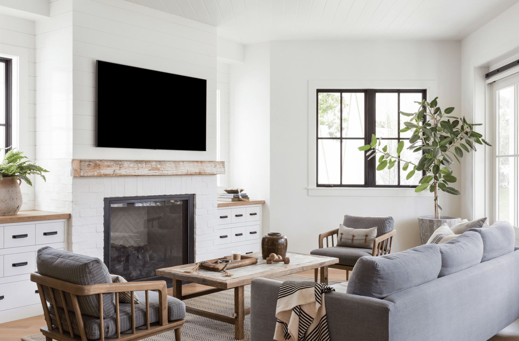 客厅里有一棵植物