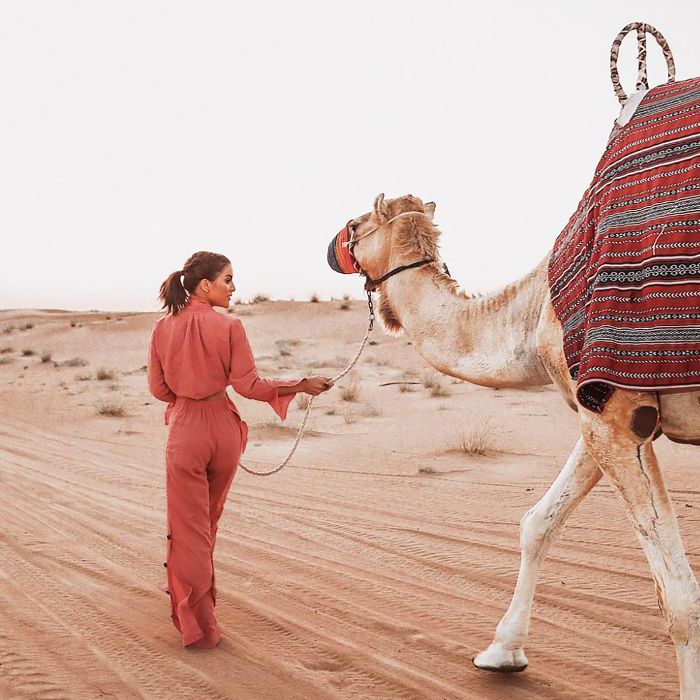 如何省钱的旅行