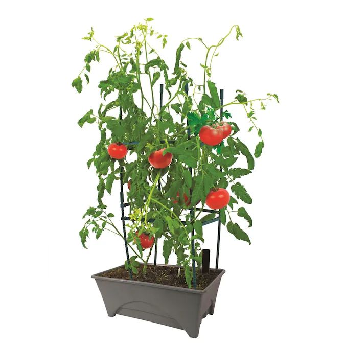 开始挑选栽培床生长箱