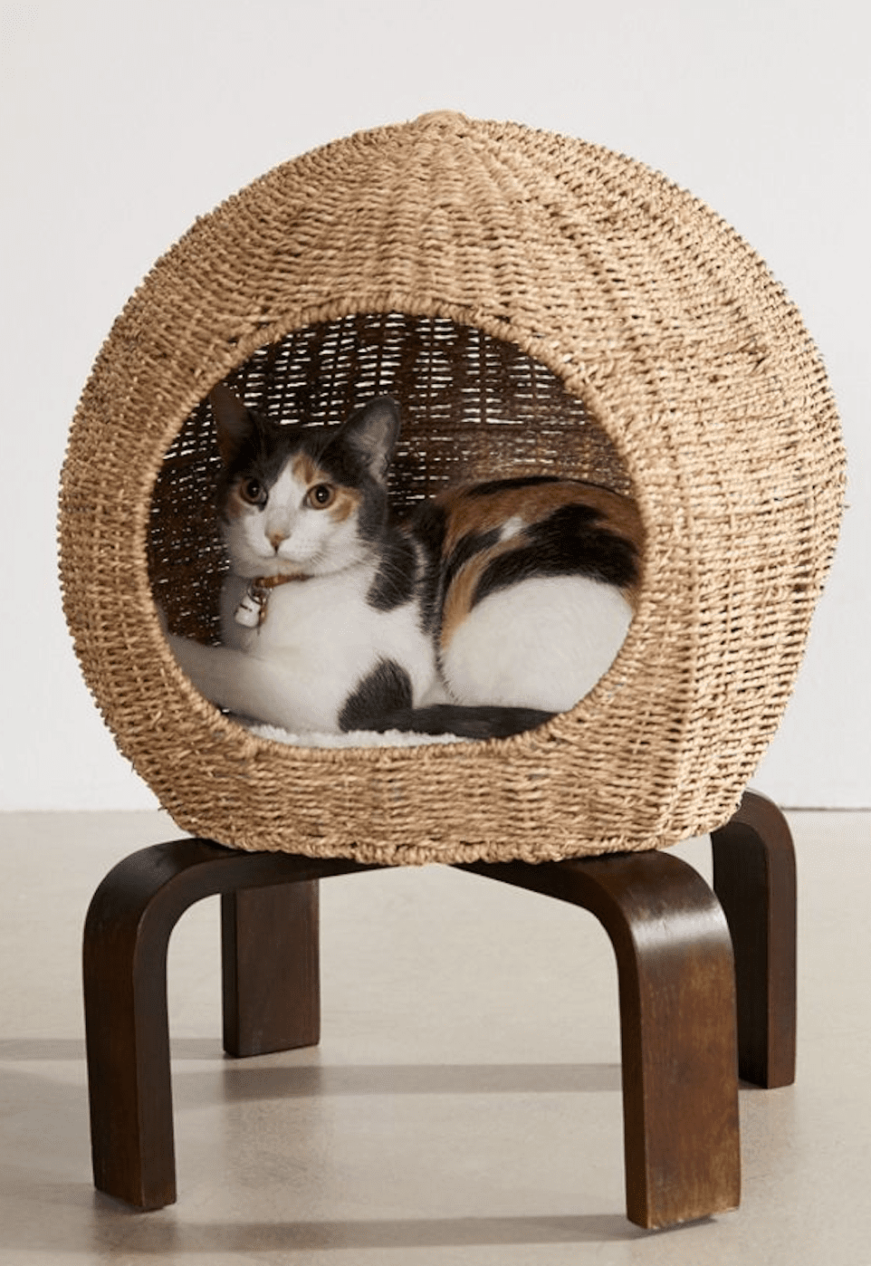 Urban Outfitters的猫波德“class=