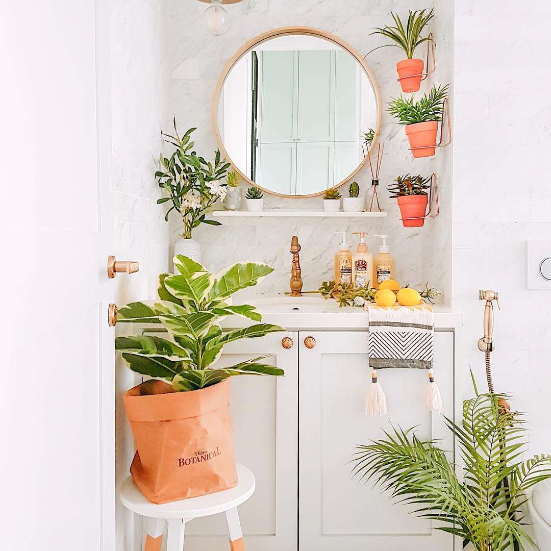 植物旁边的水槽