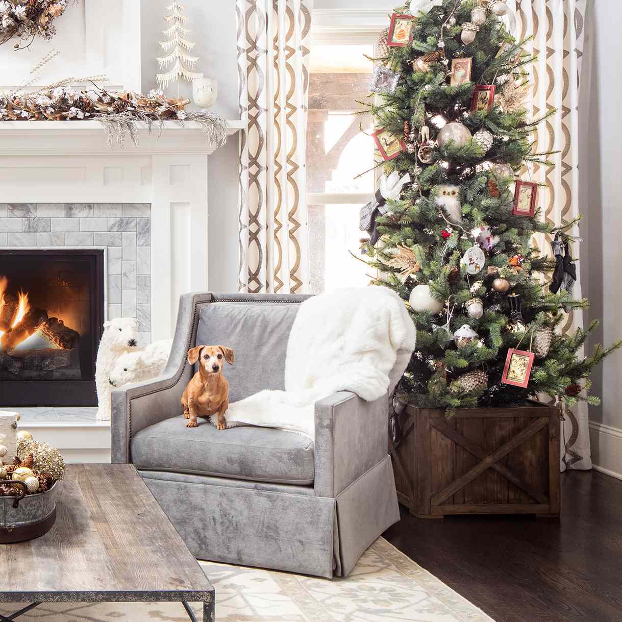 圣诞装饰的想法