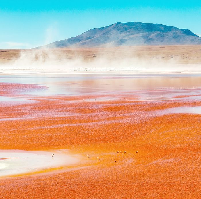 科罗拉达湖，玻利维亚