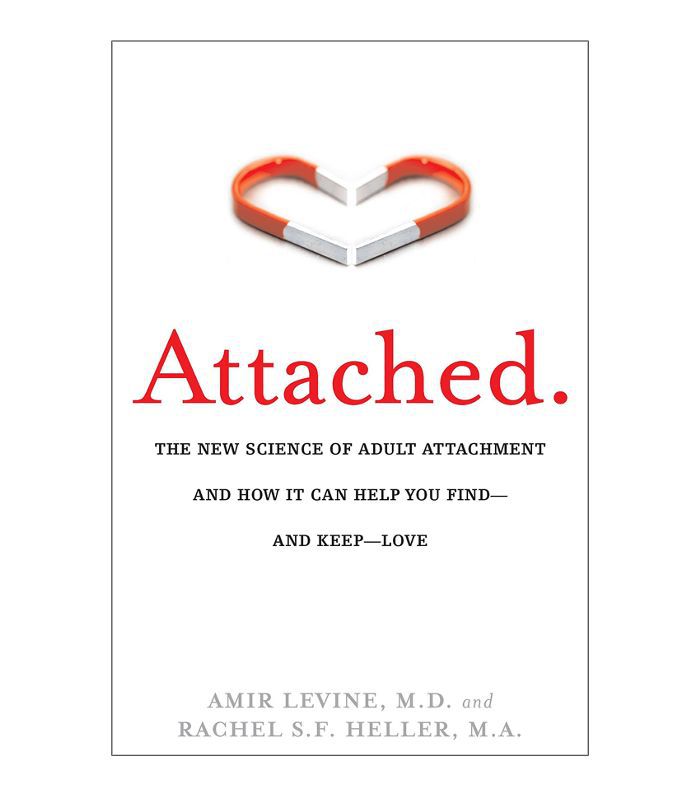 阿米尔·莱文附