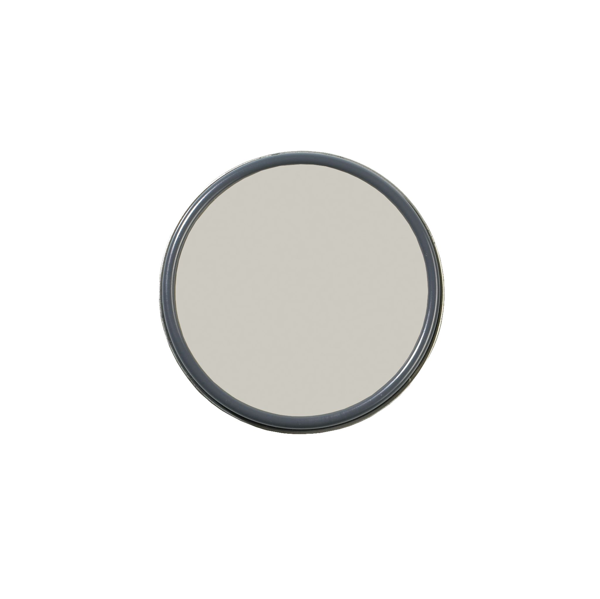 Sherwin Williams Reavose Gray