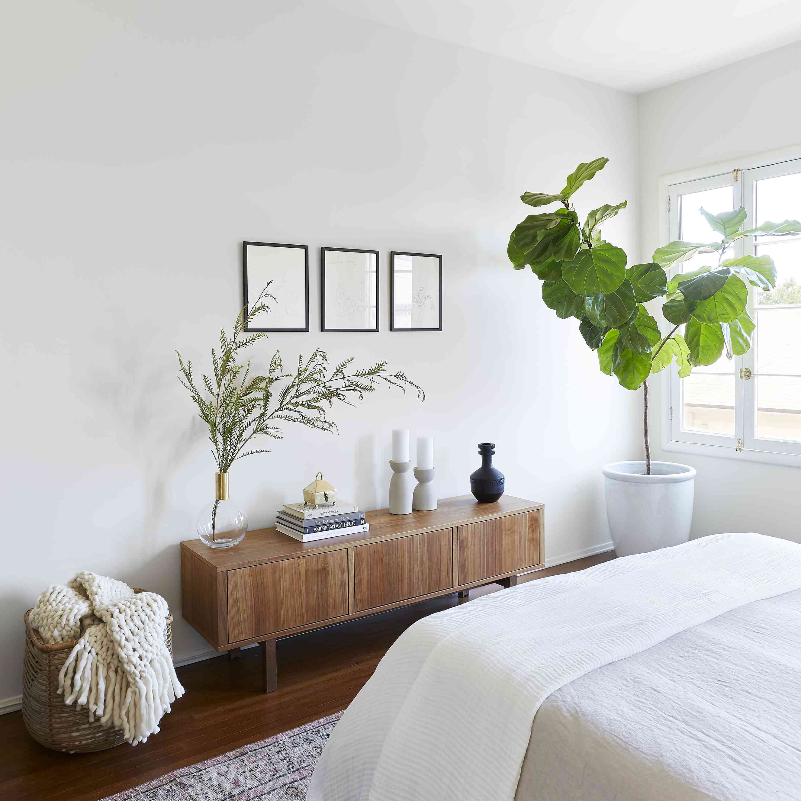 卧室用木书柜和小提琴叶无花果树