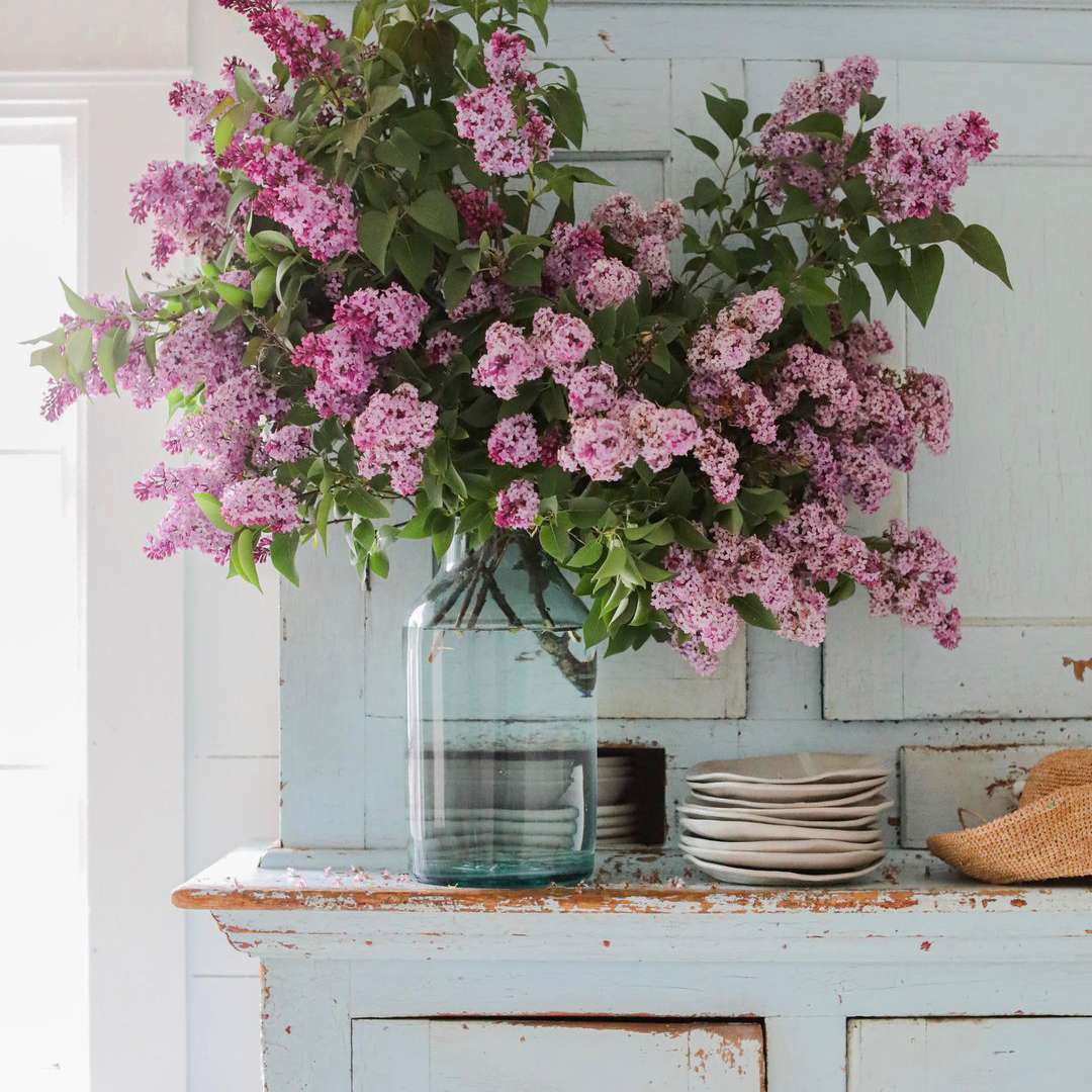 一个质朴的木柜，上面覆盖着一层有缺口的淡蓝色油漆