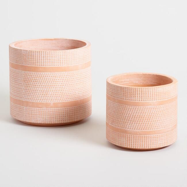 秦始皇蚀刻水泥花盆，如何种植芦荟