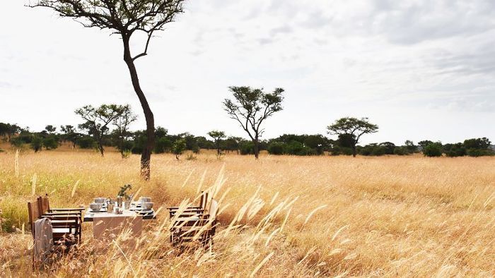 坦桑尼亚的Jacada旅行社，为您排毒