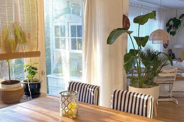 厨房药草花园非洲波希米亚生活