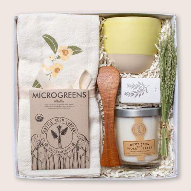 一个珍稀的花园