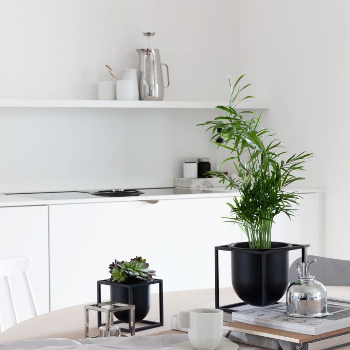 在黑容器的绿色kentia棕榈在木厨房用书，毛巾，小多汁，白色咖啡杯的木厨房用桌上