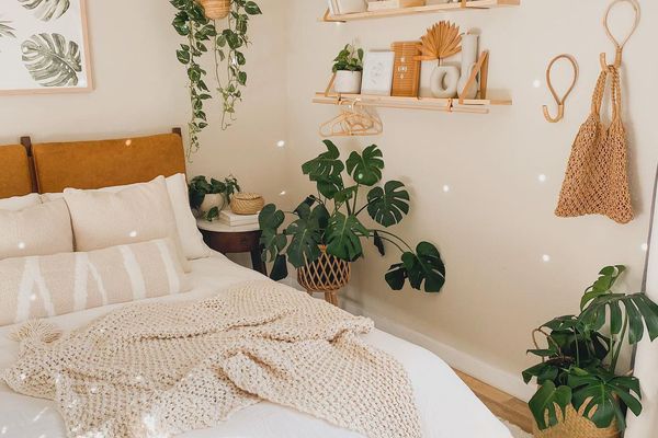 卧室有柔光，猴子和pothos植物。