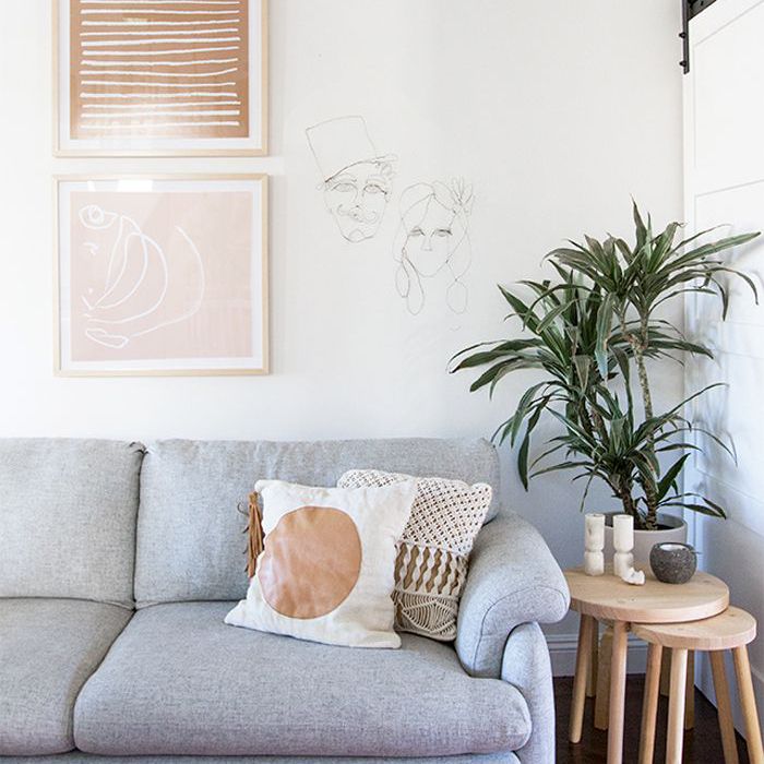 低光照最好的室内植物“class=