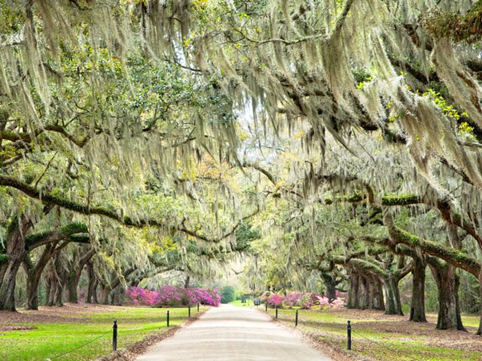 最好的暑假 - 查尔斯顿