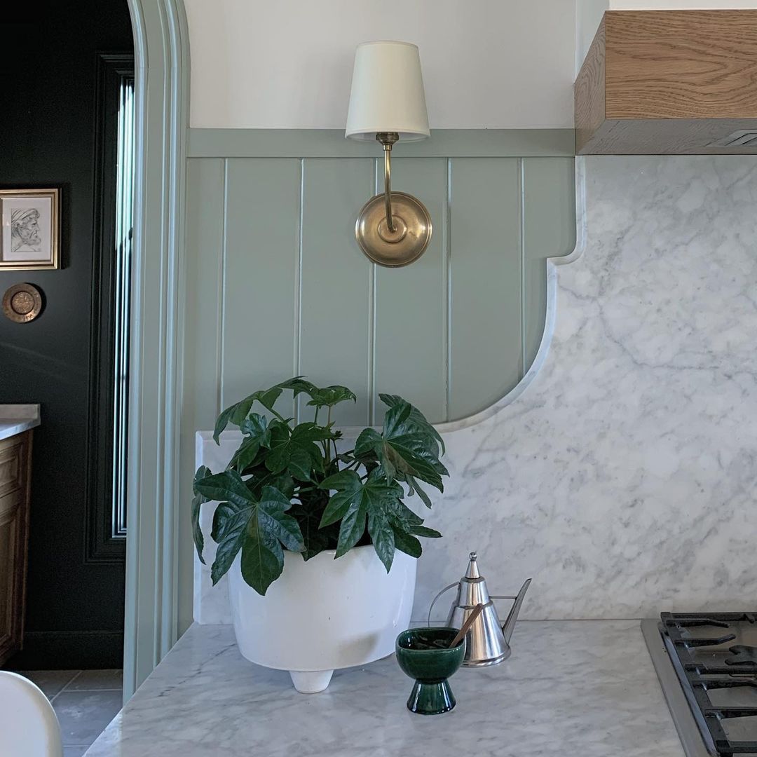 大理石台面和植物