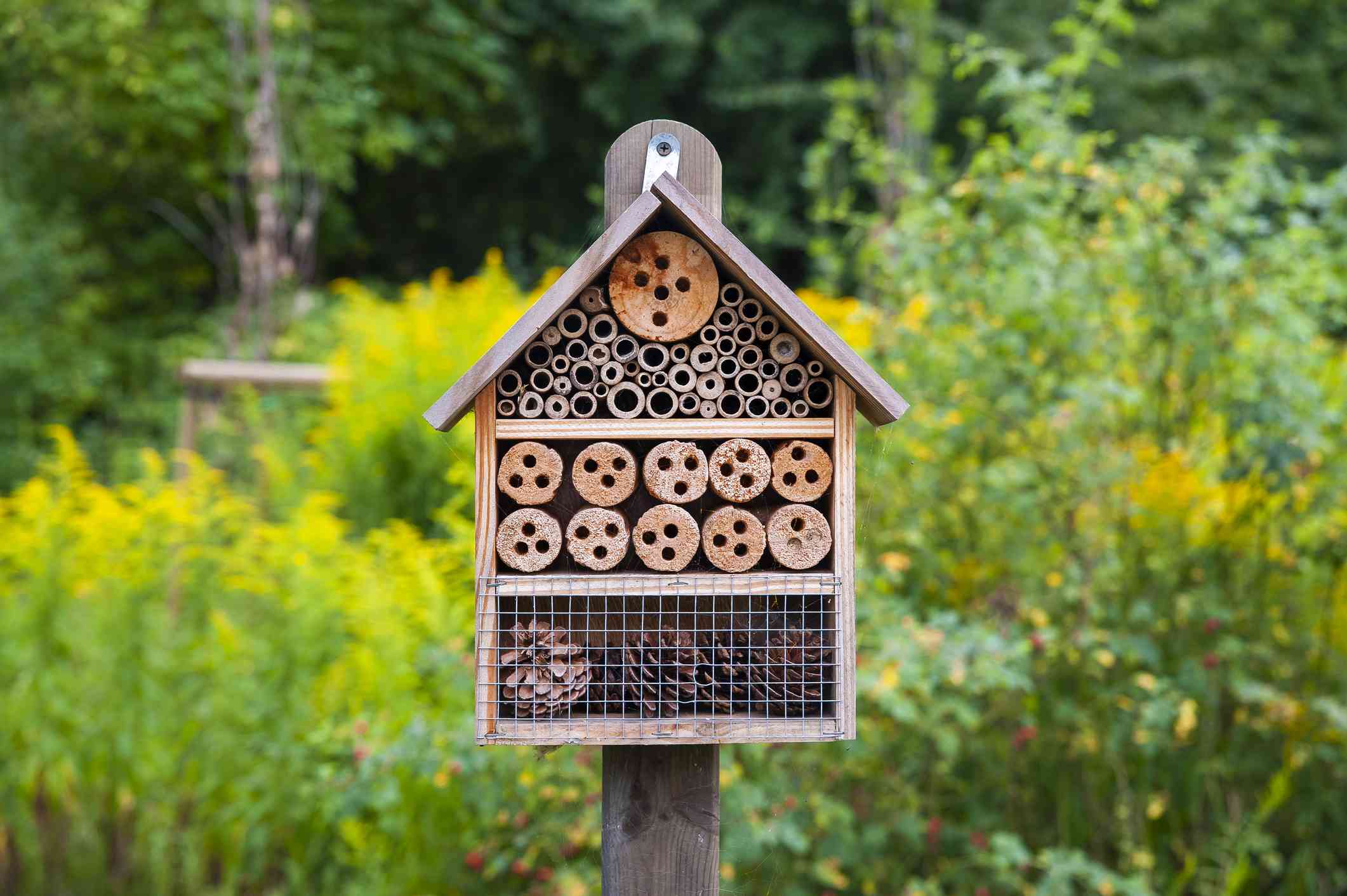 昆虫酒店在花园里。