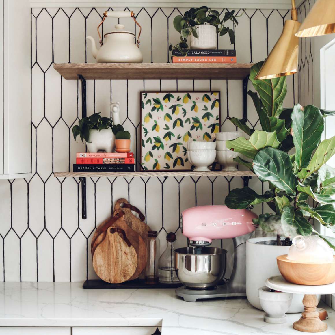 在Fiddle叶旁边打开搁架。