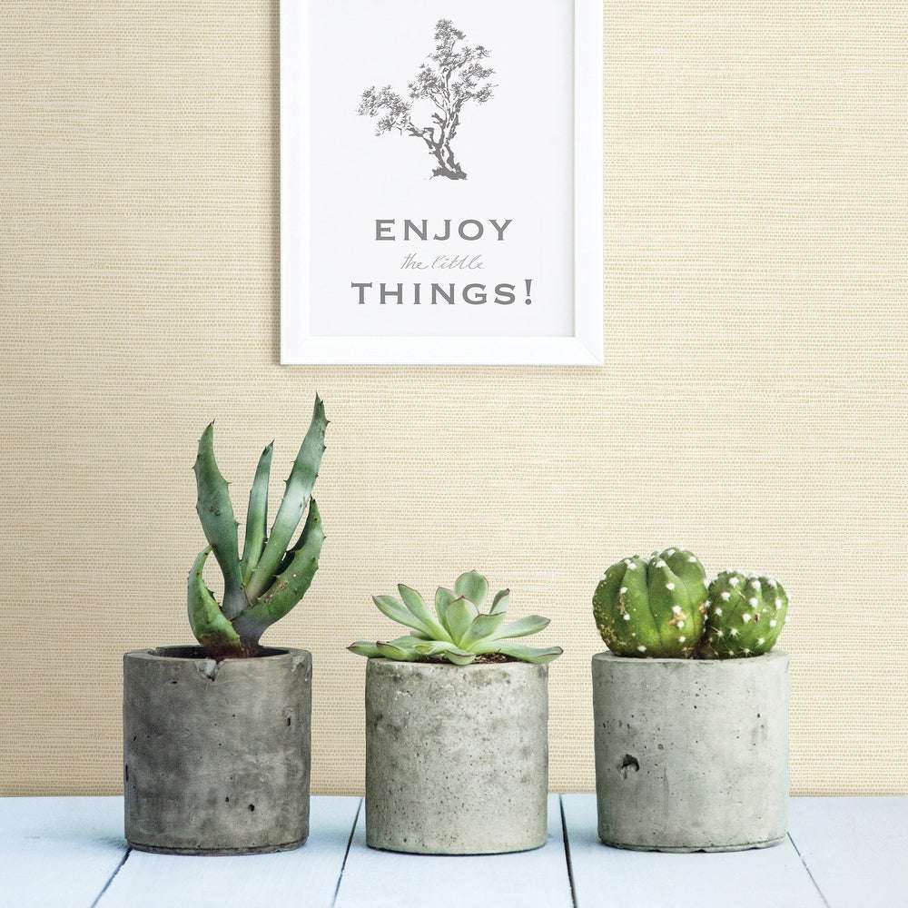 在植物前面的织地不很细草墙纸。