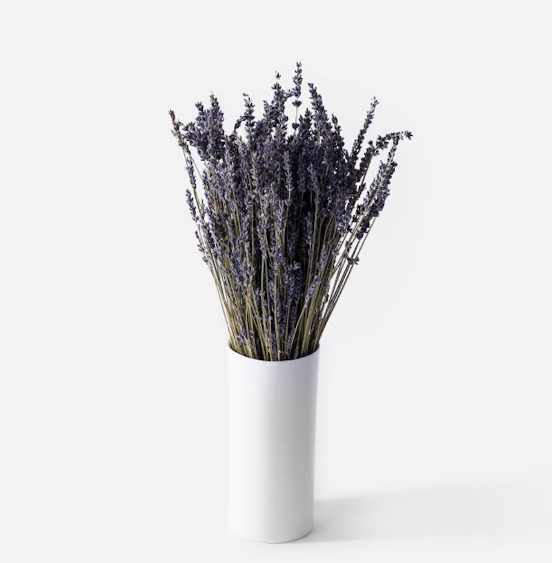 一堆薰衣草茎，目前在城市茎上出售