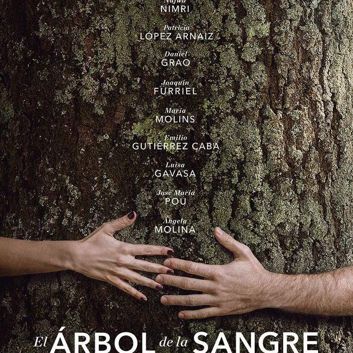 血树（萨尔瓦多ARBOL德拉桑里）“class=