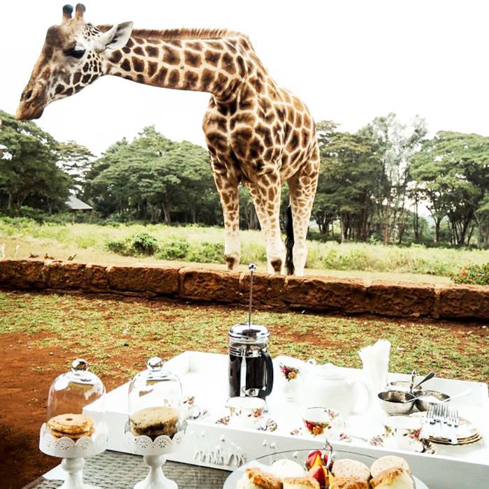最好的国家的访问是自然爱好者