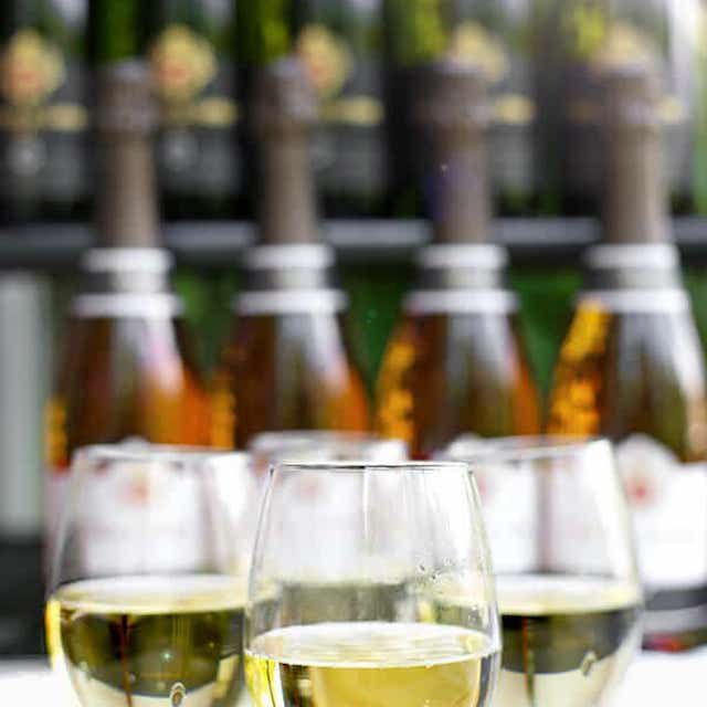 易桑格利亚食谱 - 静脉桑格利亚