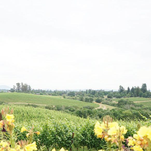 加利福尼亚最美丽的地方