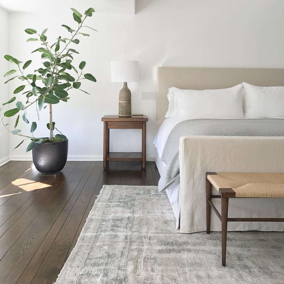 卧室有植物在拐角处