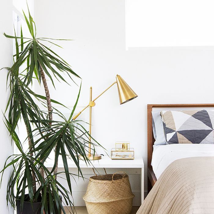 聪明的存储理念的小卧室