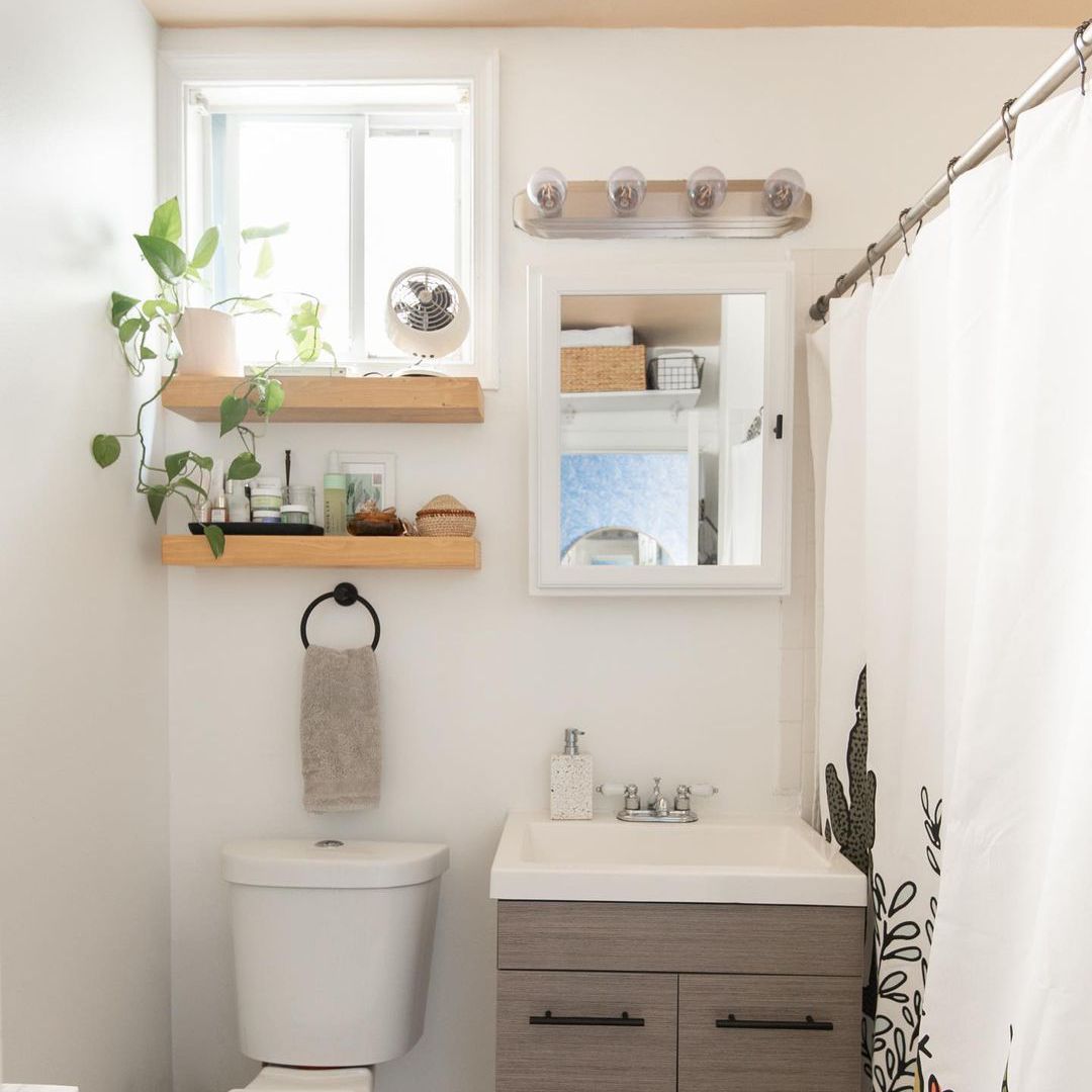 浴室配有彩绘天花板，开放式搁板和植物