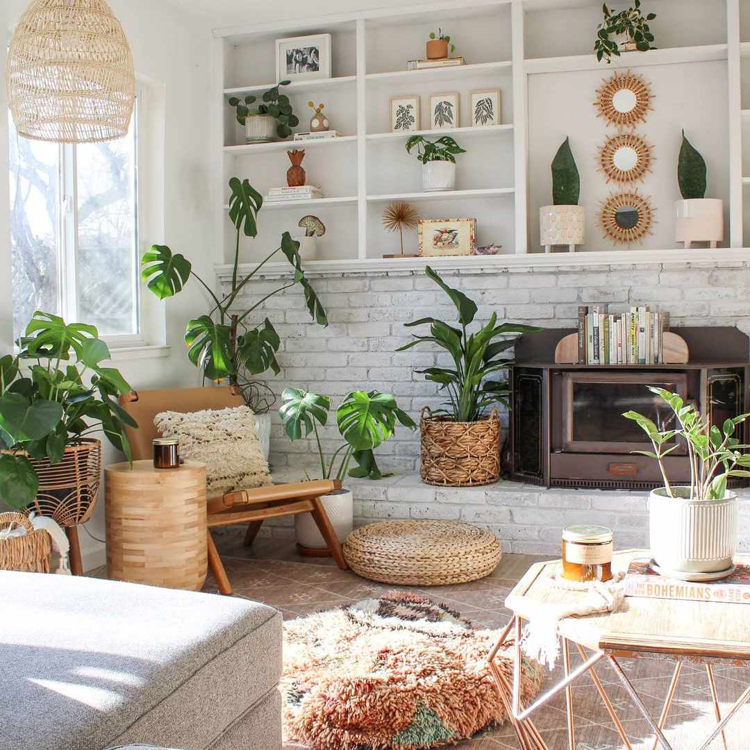 起居室装满植物和藤条口音。