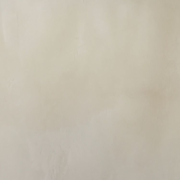 波托拉在巴塔哥尼亚绘制罗马粘土