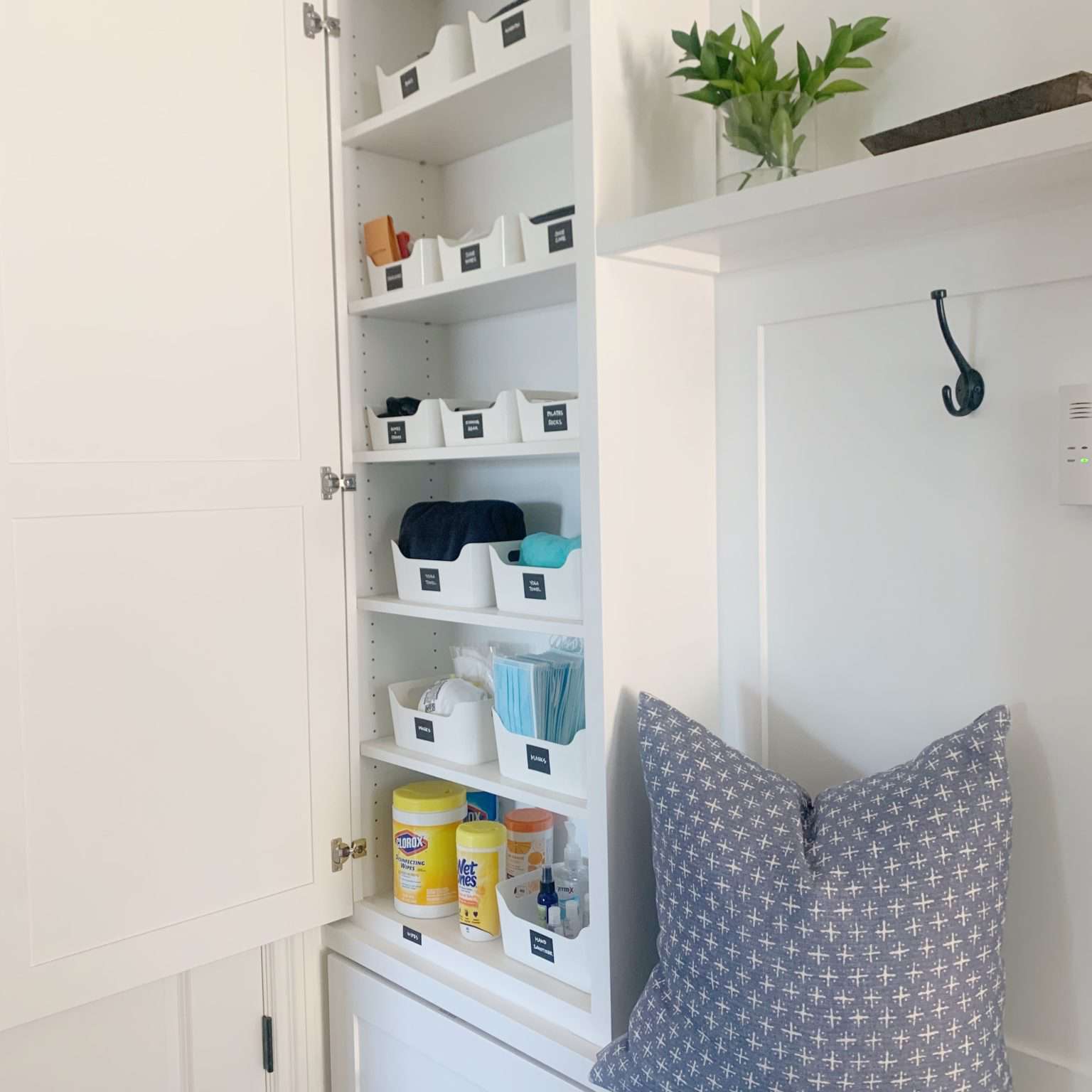 带有小箱子的大厅壁橱