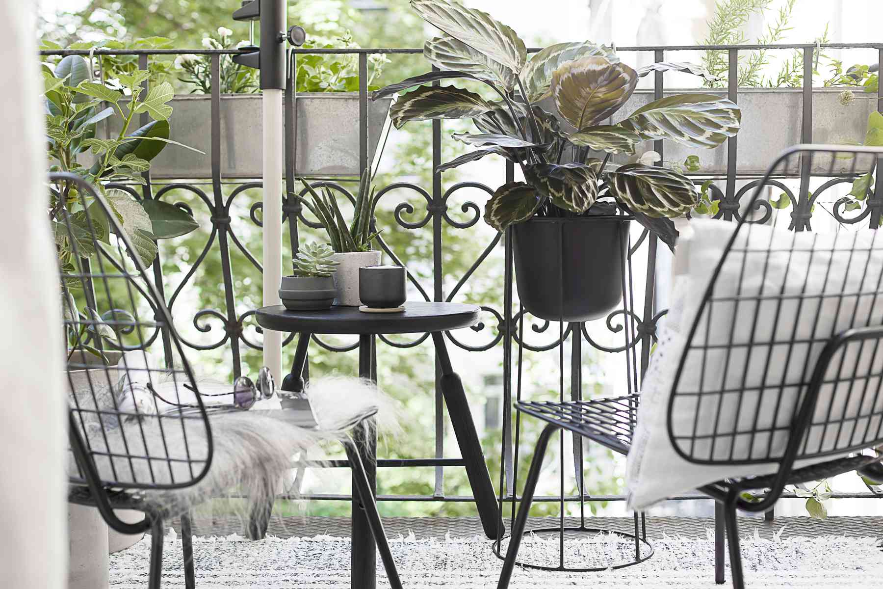 可可lapine flowerboxes