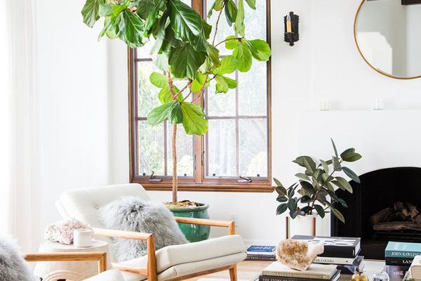 小空间客厅的创意