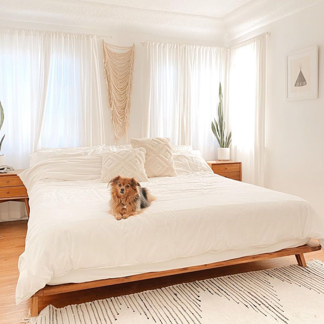 卧室用仙人掌和悬挂宏夹