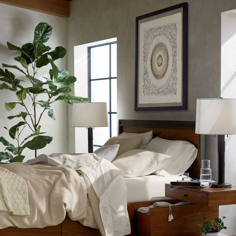 卧室里的小提琴叶无花果