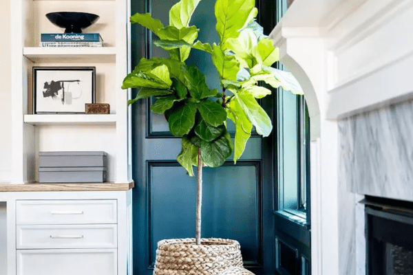 客厅有翠绿色的强调墙和大理石壁炉