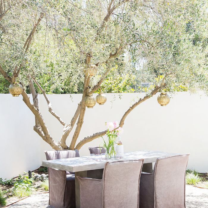 庭院的装饰理念