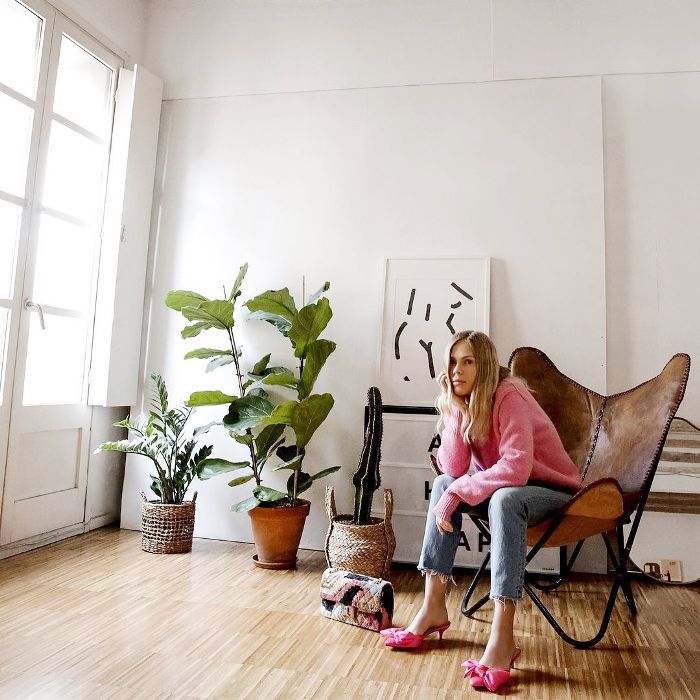 发现:最好的室内植物