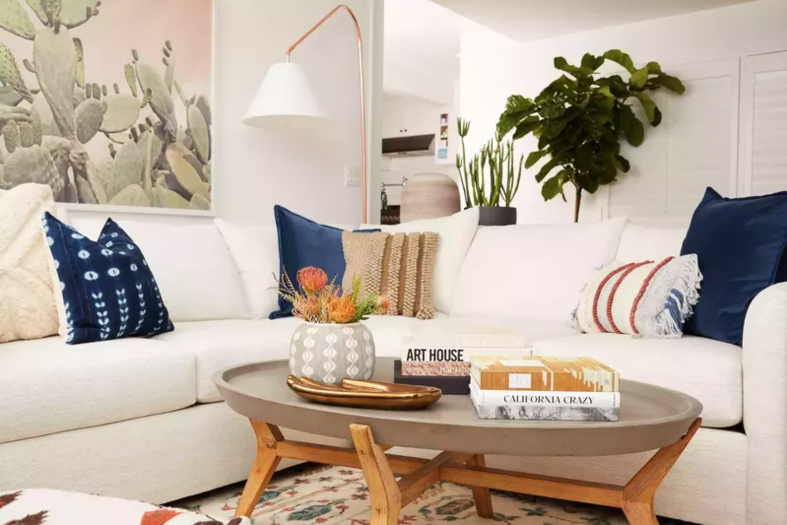 客厅里有圆咖啡桌和小提琴叶无花果树