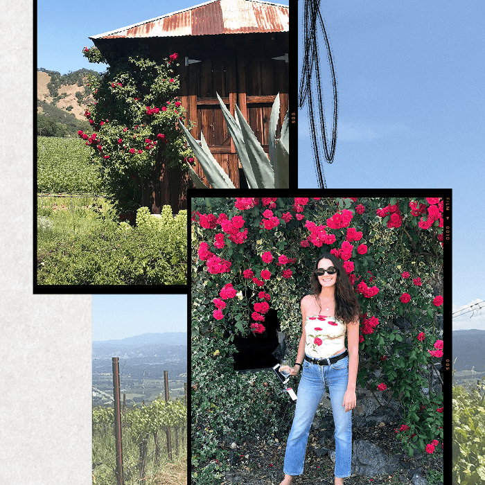 Bonterra Vineyards酒庄生产加州